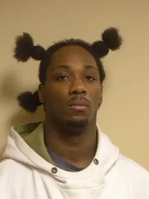 Dominique Holmes mugshot