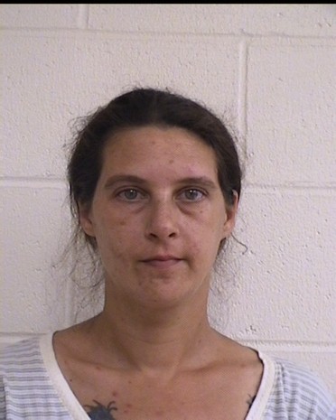 Heidi Westman mugshot