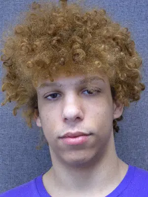 James York mugshot
