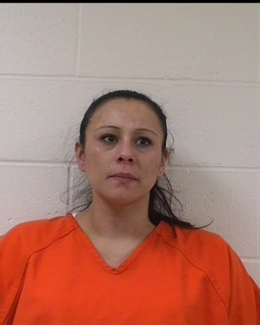 Liza Carlson mugshot