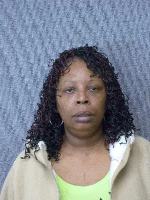 Marilyn Ball mugshot