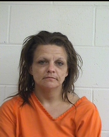 Mary Jo Wolfgram mugshot