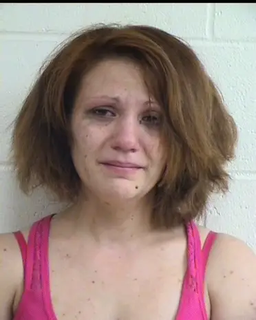 Megan Higgins of Schofield, age 22, was charged with Theft of Movable Property with Special Facts and Entry into a Locked Vehicle on 07/31/2013. On 09/09/2013 she was charged with Felony Bail Jumping, Misdemeanor Bail Jumping & Disorderly Conduct. Megan Higgins mugshot