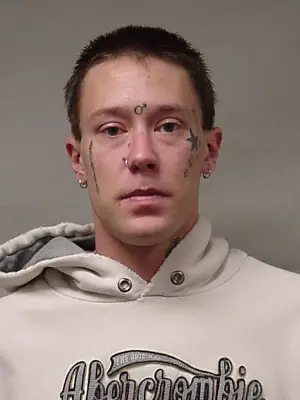 Michael Brajdic mugshot
