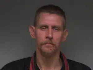 Michael Wiggins mugshot