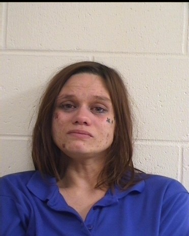 Nicole Hanson mugshot