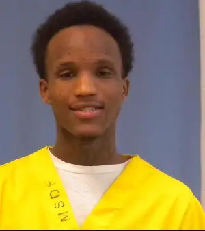 Paul Nelson mugshot