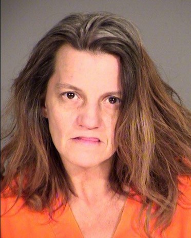 Teri Jodison mugshot